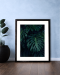 Elegant Framed Leaf Portrait.