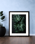 Elegant Framed Leaf Portrait.