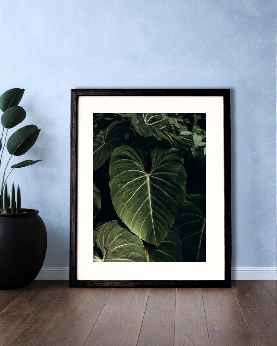 Elegant Framed Leaf Portrait.